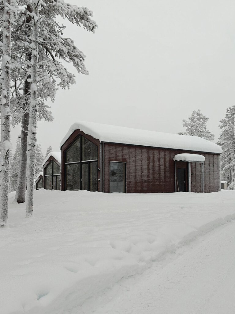 Ylärinteen villoja pilvisenä päivänä tammikuussa.